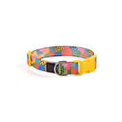 Collar y correa para perros estampado - FRUTTI