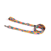Collar y correa para perros estampado - FRUTTI