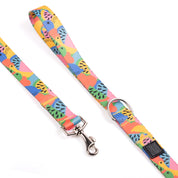Collar y correa para perros estampado - FRUTTI
