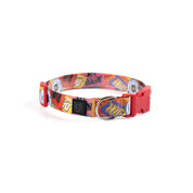Collar y correa para perros estampado - STICKERS