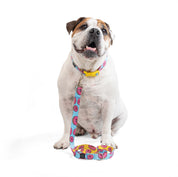 Collar y correa para perros estampado - YUMMY