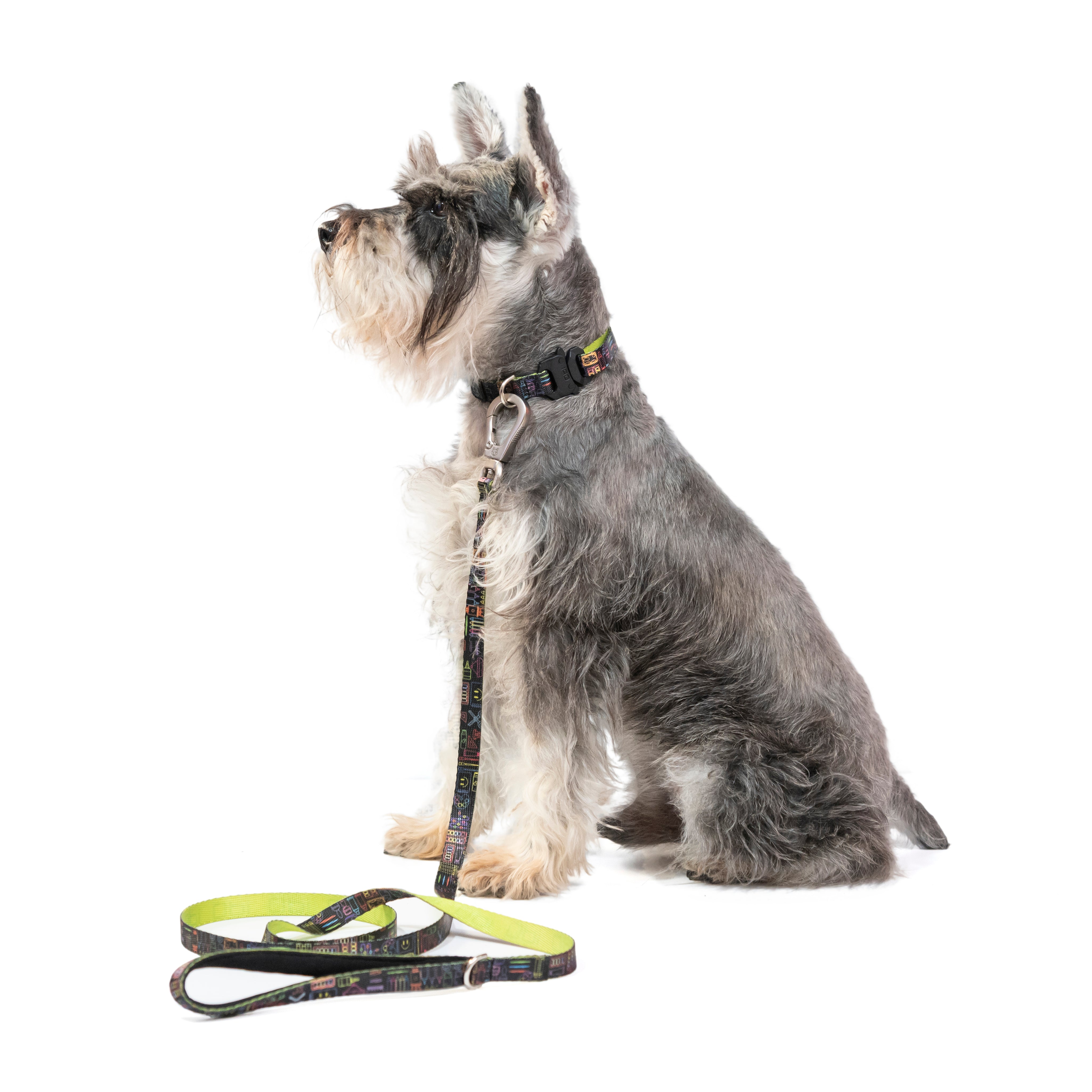 Correa para perros estampada - COMFY CANVAS
