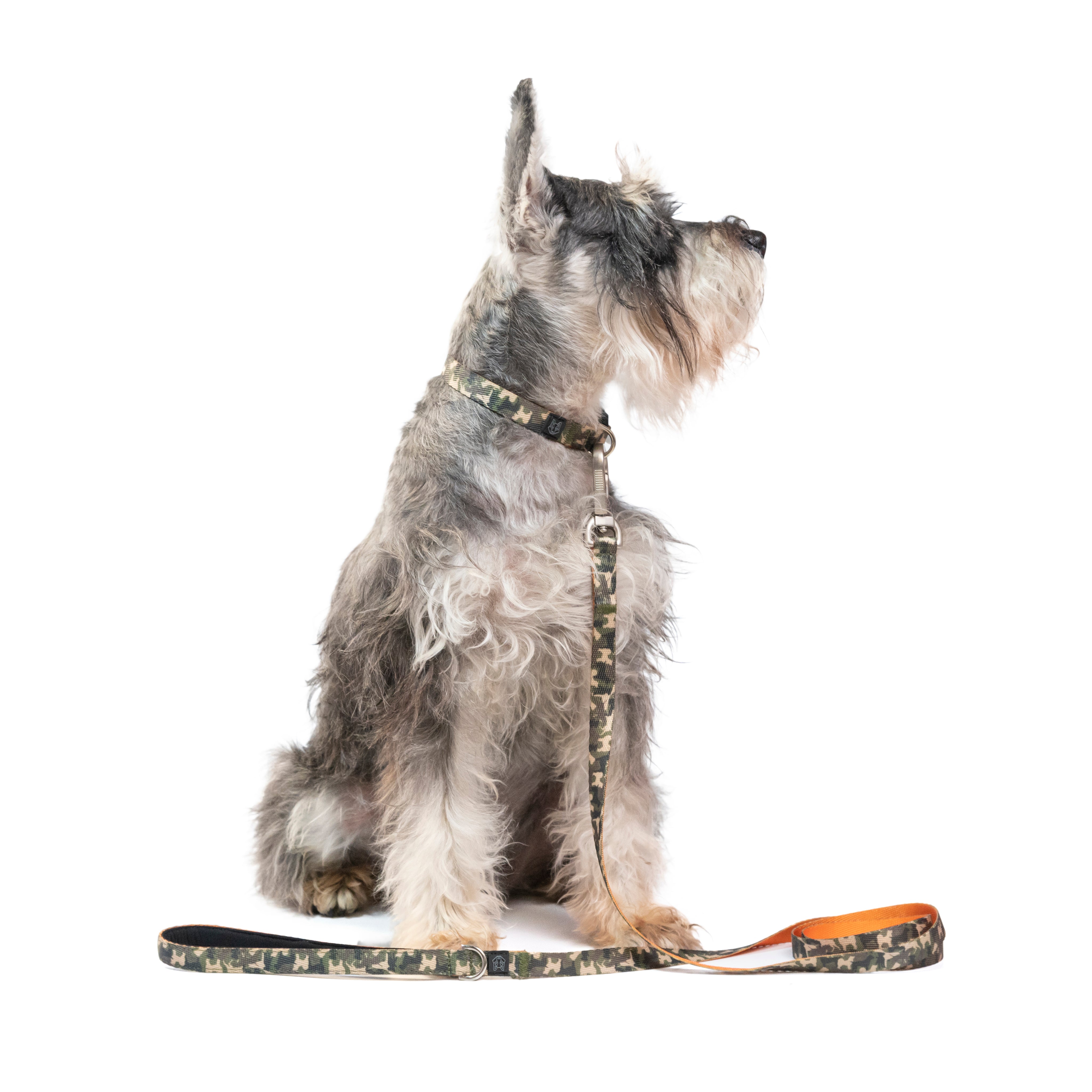 Correa para perros estampada - COMFY DOG ARMY