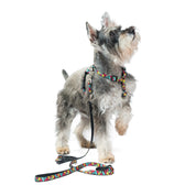 Correa para perros estampada - COMFY POP ART