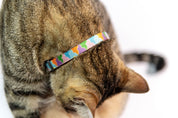 Cosmo Candy Cake Productos Para Mascotas Y Animales