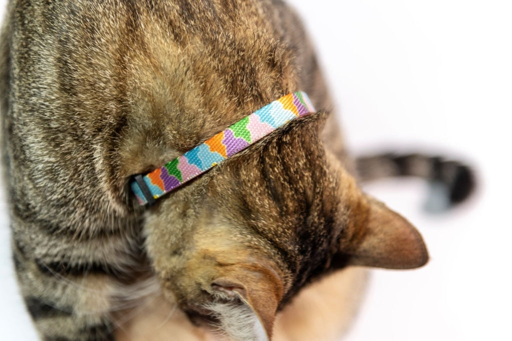 Cosmo Candy Cake Productos Para Mascotas Y Animales
