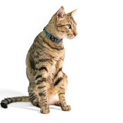 Cosmo Usa Productos Para Mascotas Y Animales