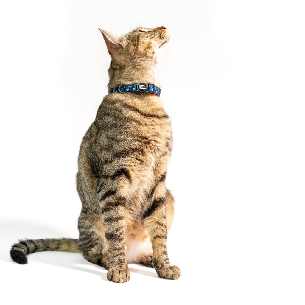 Cosmo Usa Productos Para Mascotas Y Animales
