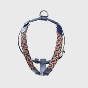 Arnés para perro trenzado - ENZZO RETRO BLUE