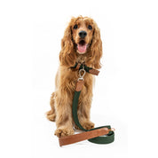 Correa para perro trenzada - RUFO MILITAR