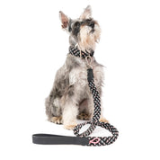 Correa para perro trenzada - RUFO NEOPINK