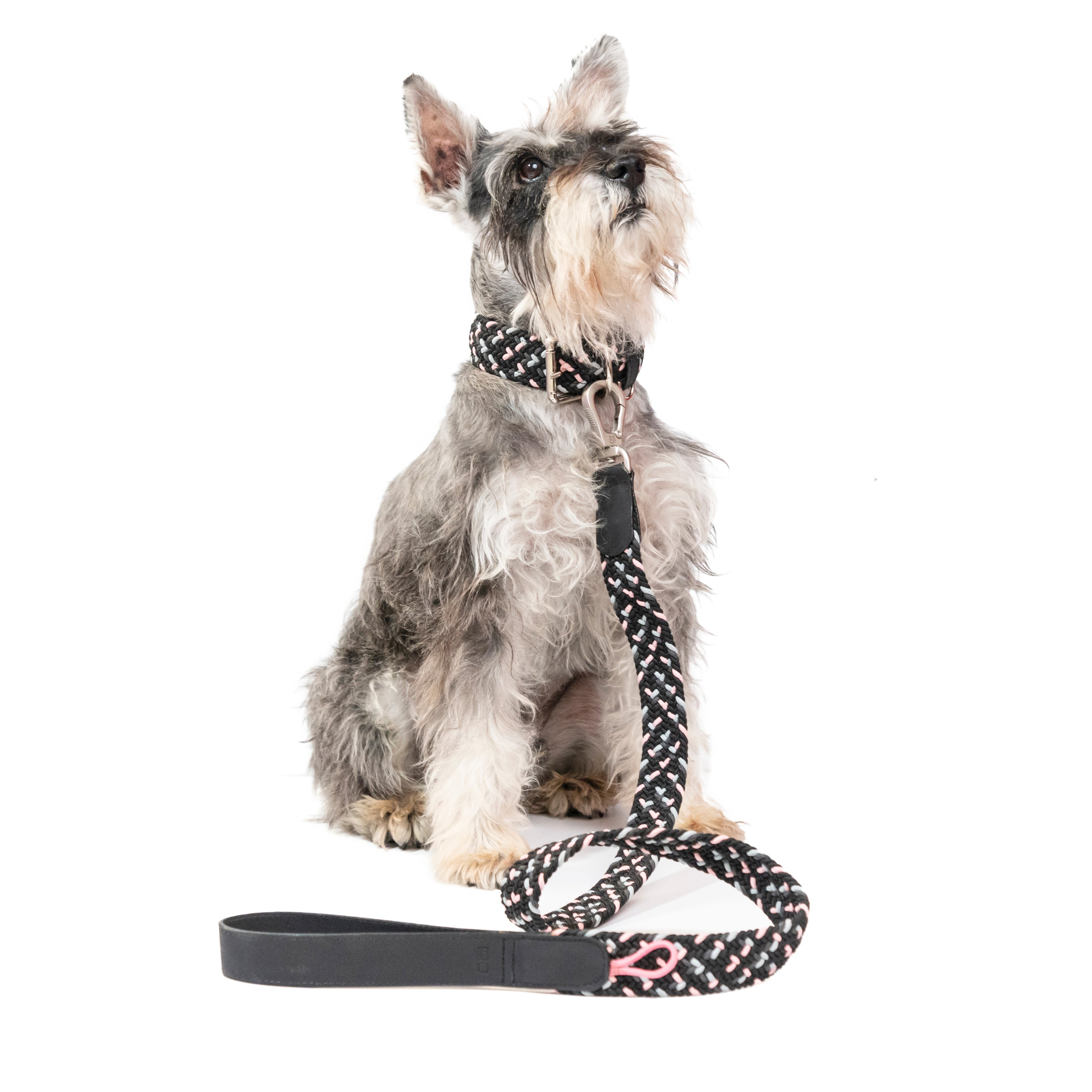 Correa para perro trenzada - RUFO NEOPINK
