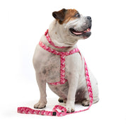 TRICOMBO collar + arnés + correa estampadas para perro - HUESITOS PINK